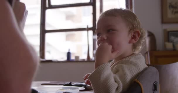 Seitenansicht Eines Kaukasischen Kleinkindes Das Die Zeit Hause Genießt Auf — Stockvideo