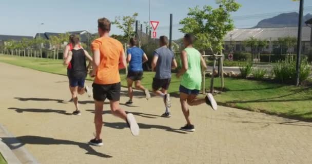 Vista Trasera Grupo Multiétnico Corredores Masculinos Entrenando Campo Deportes Corriendo — Vídeo de stock