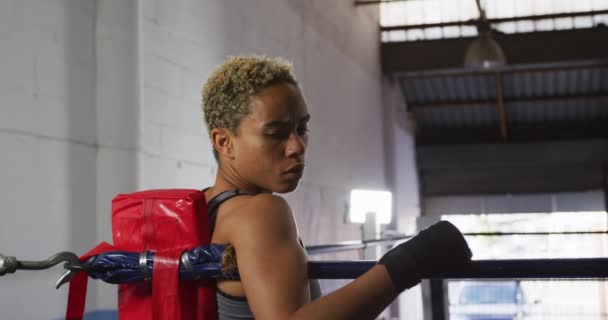 Retrato Una Boxeadora Raza Mixta Con Pelo Rizado Corto Con — Vídeo de stock