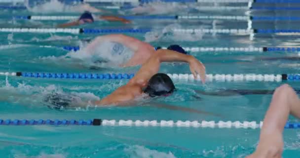 Seitenansicht Der Multiethnischen Gruppe Männlicher Schwimmer Schwimmbad Die Sich Gegenseitig — Stockvideo