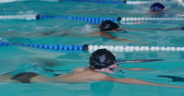 Vista Lateral Grupo Multiétnico Nadadores Masculinos Piscina Compitiendo Entre Carriles — Vídeos de Stock