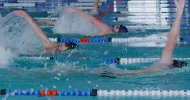 Side View Multi Ethnic Group Male Swimmers Swimming Pool Racing — Stockvideo