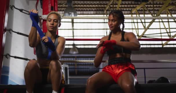 Front View Two Mixed Race Female Boxers Wearing Vests Boxing — 비디오