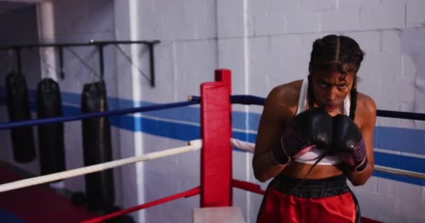 Pohled Zepředu Smíšenou Boxerku Dlouhými Spletitými Vlasy Boxerské Tělocvičně Stojící — Stock video