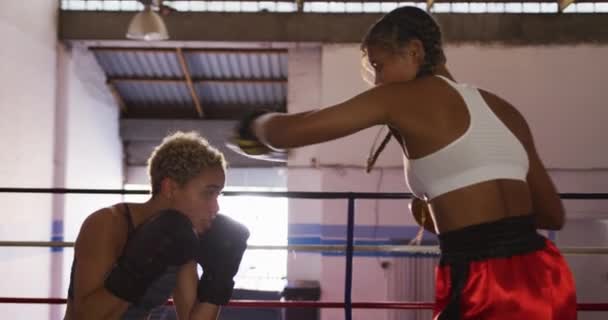 Vista Lateral Cerca Dos Boxeadoras Femeninas Raza Mixta Gimnasio Boxeo — Vídeos de Stock