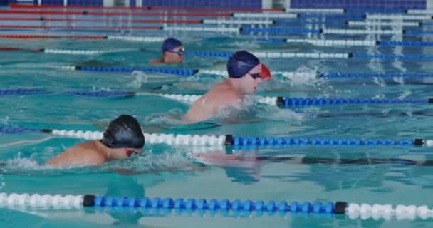 Side View Multi Ethnic Group Male Swimmers Swimming Pool Racing — Stok video