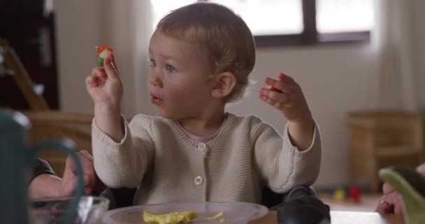 家で時間を楽しんでいる白人の幼児の正面図 台所でイチゴを食べるテーブルに座って スローモーション — ストック動画