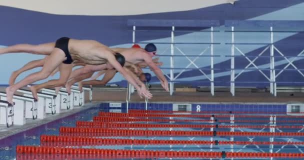 Side View Multi Ethnic Group Male Swimmers Swimming Pool Jumping — ストック動画