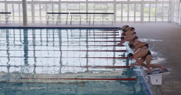 Widok Boku Wieloetnicznej Grupy Męskich Pływaków Basenie Skaczących Bloków Startowych — Wideo stockowe