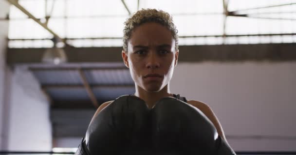 Portrait Mixed Race Female Boxer Short Curly Hair Wearing Boxing — Stock Video