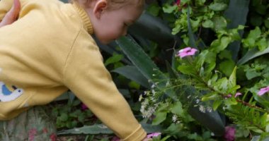 Side view of a Caucasian couple enjoying family time in nature and their baby girl touching plants in slow motion