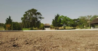 Low section side view of a bay horse in a paddock during a dressage competition, on a sunny day in slow motion