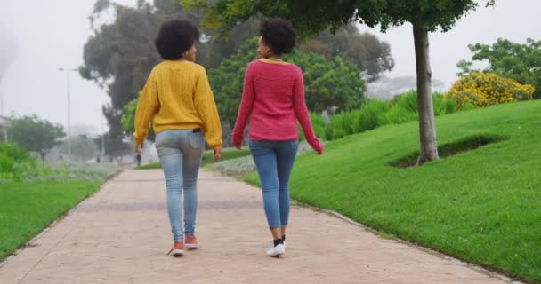 Visão Traseira Duas Mulheres Raça Mista Desfrutando Tempo Livre Parque — Vídeo de Stock