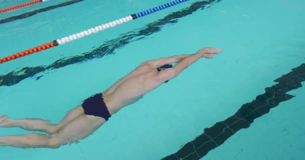 Πλευρική Άποψη Καυκάσιου Άνδρα Κολυμβητή Πισίνα Κολυμπά Κάτω Από Νερό — Αρχείο Βίντεο