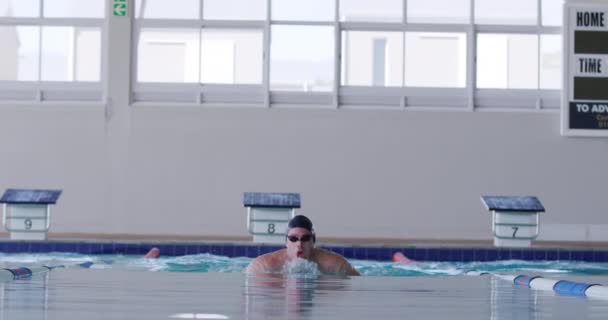 白种人男子游泳运动员在游泳池的前景 游泳比赛中在跑道上赛跑 动作缓慢 — 图库视频影像