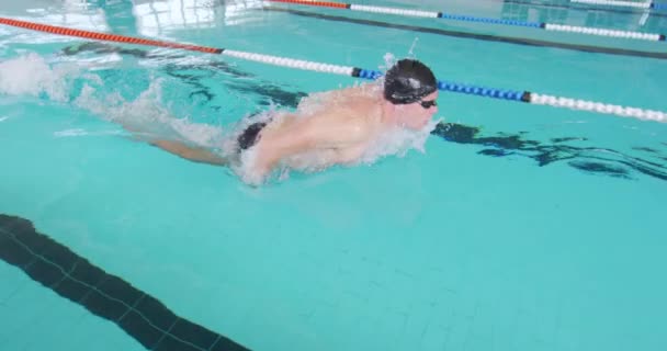 Side View Caucasian Male Swimmer Swimming Pool Racing Lane Competition — 图库视频影像
