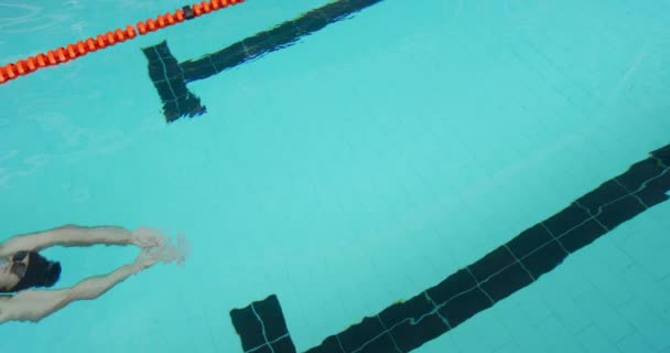 Πλευρική Άποψη Καυκάσιου Άνδρα Κολυμβητή Πισίνα Κολυμπάει Στην Πλάτη Του — Αρχείο Βίντεο