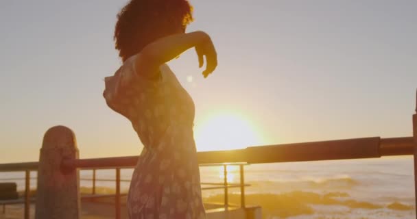 Vista Laterale Della Donna Razza Mista Che Gode Tempo Mare — Video Stock