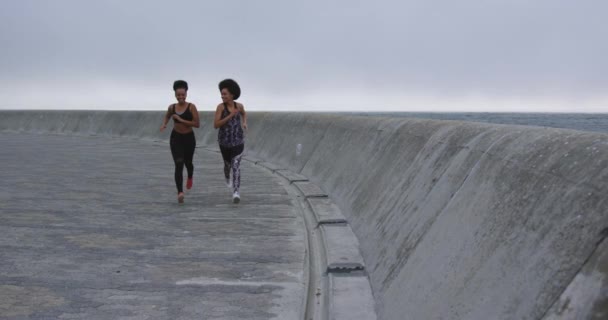 Front View Two Mixed Race Women Enjoying Free Time Seaside — Stock Video