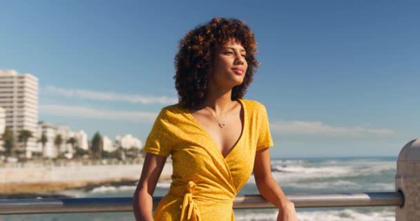 Portrait Mixed Race Woman Enjoying Time Seaside Sunny Day Blue — ストック動画