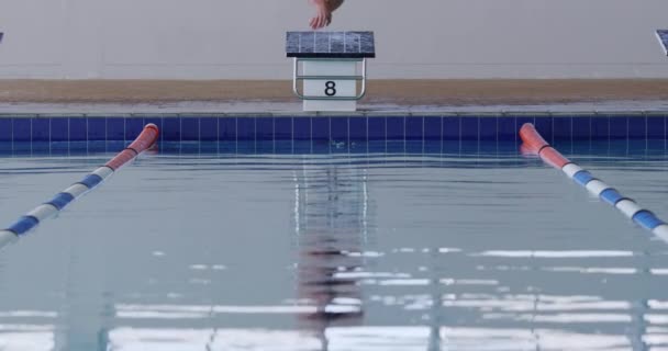 Vorderansicht Eines Kaukasischen Schwimmers Schwimmbad Der Während Eines Schwimmwettbewerbs Aus — Stockvideo