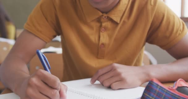 Vista Frontal Cerca Adolescente Raza Mixta Aula Escuela Sentado Escritorio — Vídeos de Stock