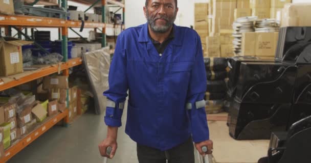 Portrait Travailleur Afro Américain Dans Entrepôt Stockage Dans Une Usine — Video