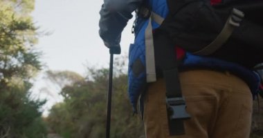 Kafkasyalı kıdemli bir adamın doğanın tadını çıkarırken, İskandinav bastonlarıyla ormanda yürüyüş yaparken,