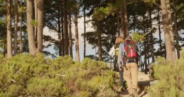 Kafkasyalı üst düzey bir çiftin doğada birlikte vakit geçirmesinin arka görüntüsü, İskandinav yürüyüş sırasında yavaş çekimde yürüyen sopalarla ormanda yürümeleri.