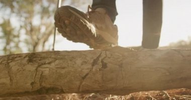 Üst düzey beyaz bir kadının ön cepheden görünüşü. Doğada eğlenen, açık hava botları giyen, bir kütüğü çiğneyen, ağır çekim yürüyüşü sırasında ormanda yürüyen...