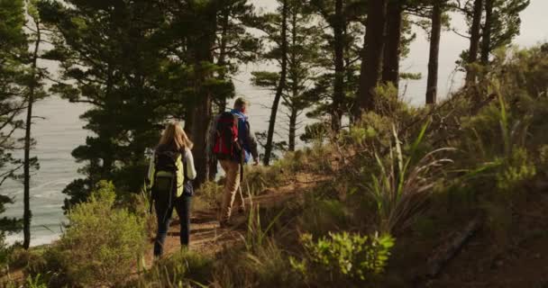 一对年长的白种人夫妇在大自然中共度时光的后视镜 他们背着背包慢吞吞地在海边的悬崖上散步 — 图库视频影像
