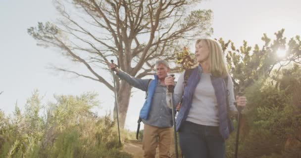 一对年长的白人夫妇在大自然中共度时光 徒步旅行时在森林里散步 慢吞吞地笑着与北欧人一起散步 — 图库视频影像