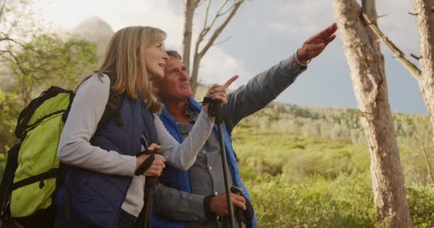 一对老白种人夫妇在大自然中共度时光的侧视图 他们在远足时站在森林里 欣赏风景 指指点点 与北欧人慢动作的手杖互动 — 图库视频影像