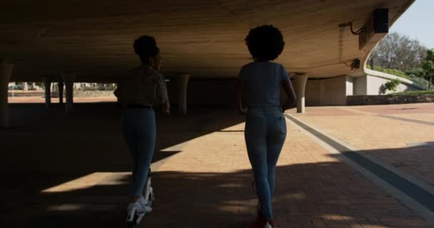 Widok Tyłu Dwóch Mieszanych Kobiet Rasy Korzystających Wolnego Czasu Parku — Wideo stockowe