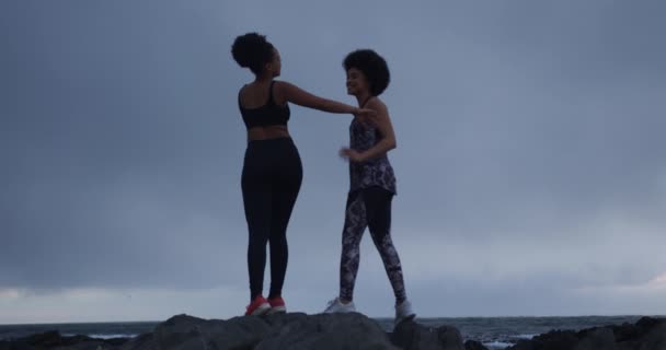 Vista Lateral Dos Mujeres Raza Mixta Disfrutando Tiempo Libre Junto — Vídeo de stock