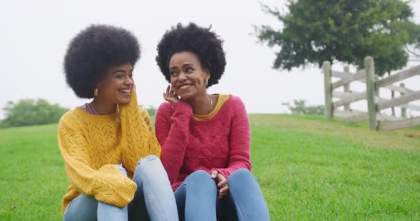 Vue Face Deux Femmes Métisses Jouissant Temps Libre Dans Parc — Video