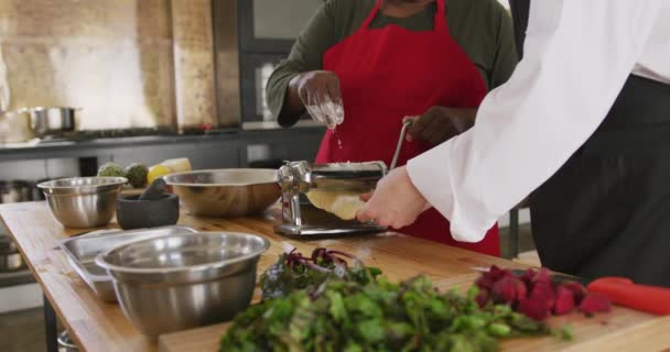 Vista Lateral Sección Central Una Mujer Afroamericana Mayor Una Chef — Vídeos de Stock