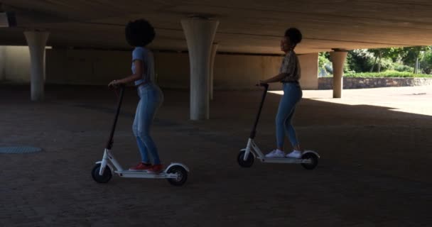 Vista Lateral Dos Mujeres Raza Mixta Disfrutando Tiempo Libre Parque — Vídeos de Stock