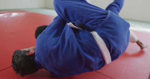 Hoge Hoek Vooraanzicht Van Een Gemengd Ras Mannelijke Judo Coach — Stockvideo