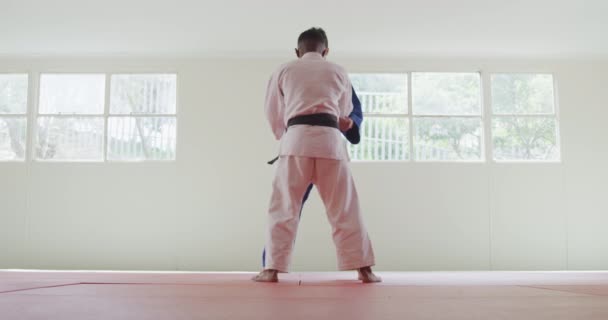 Framifrån Blandras Hane Judo Tränare Och Tonåring Blandras Hane Judoka — Stockvideo