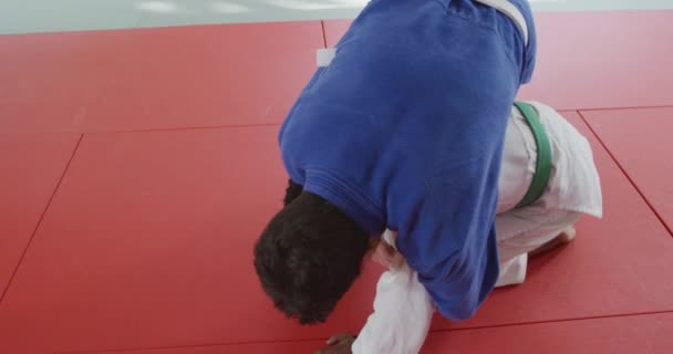 Magas Látószögű Kilátás Egy Vegyes Fajú Férfi Judo Edző Tizenéves — Stock videók