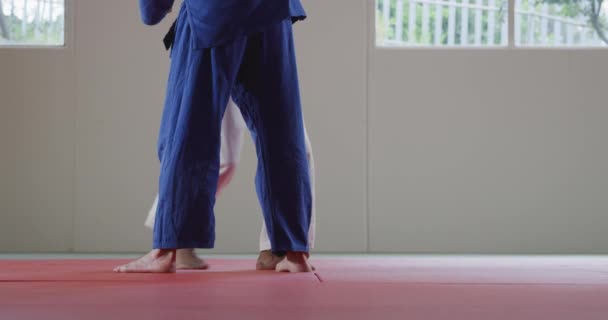 Karışık Irk Erkek Judo Koçu Melez Erkek Judoka Nın Düşük — Stok video