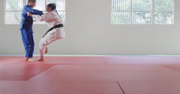 Vista Lateral Dos Judokas Femeninas Caucásicas Mestizas Adolescentes Que Usan — Vídeos de Stock