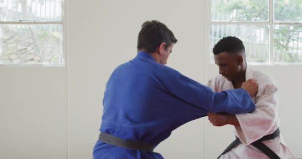 Sidovy Blandras Hane Judo Tränare Och Tonåring Blandras Hane Judoka — Stockvideo