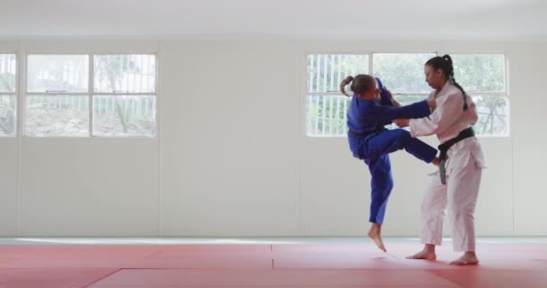 Zijaanzicht Van Twee Tieners Blanke Gemengde Ras Vrouwelijke Judoka Dragen — Stockvideo