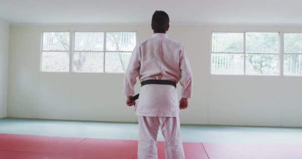 Vue Arrière Entraîneur Judo Masculin Mixte Portant Judogi Blanc Concentrant — Video