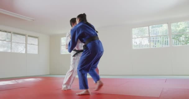 Sidovy Blandras Manliga Judo Tränare Och Tonåring Kaukasiska Kvinnliga Judoka — Stockvideo