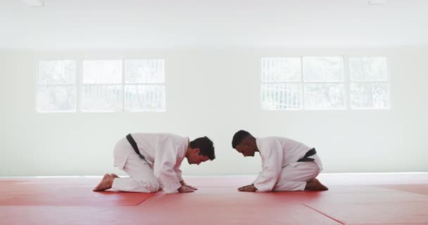 Vista Lateral Raça Mista Masculino Judo Treinador Adolescente Mista Judoca — Vídeo de Stock