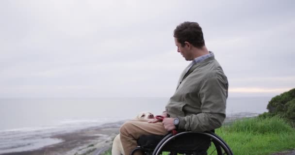 Widok Boku Białego Człowieka Wózku Inwalidzkim Spacerującego Psem Wsi Nad — Wideo stockowe