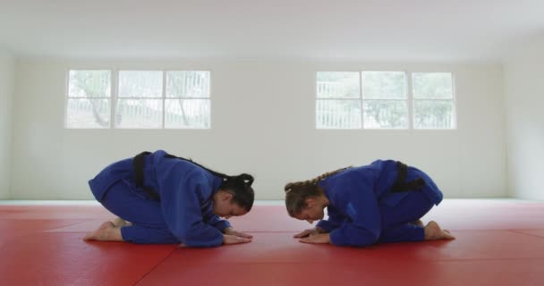 Vista Lateral Raza Mixta Adolescente Judokas Femeninos Caucásicos Que Usan — Vídeo de stock